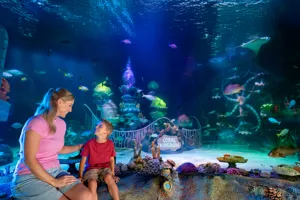 A woman and child viewing the Coral Kingdom exhibit at SEA LIFE Florida