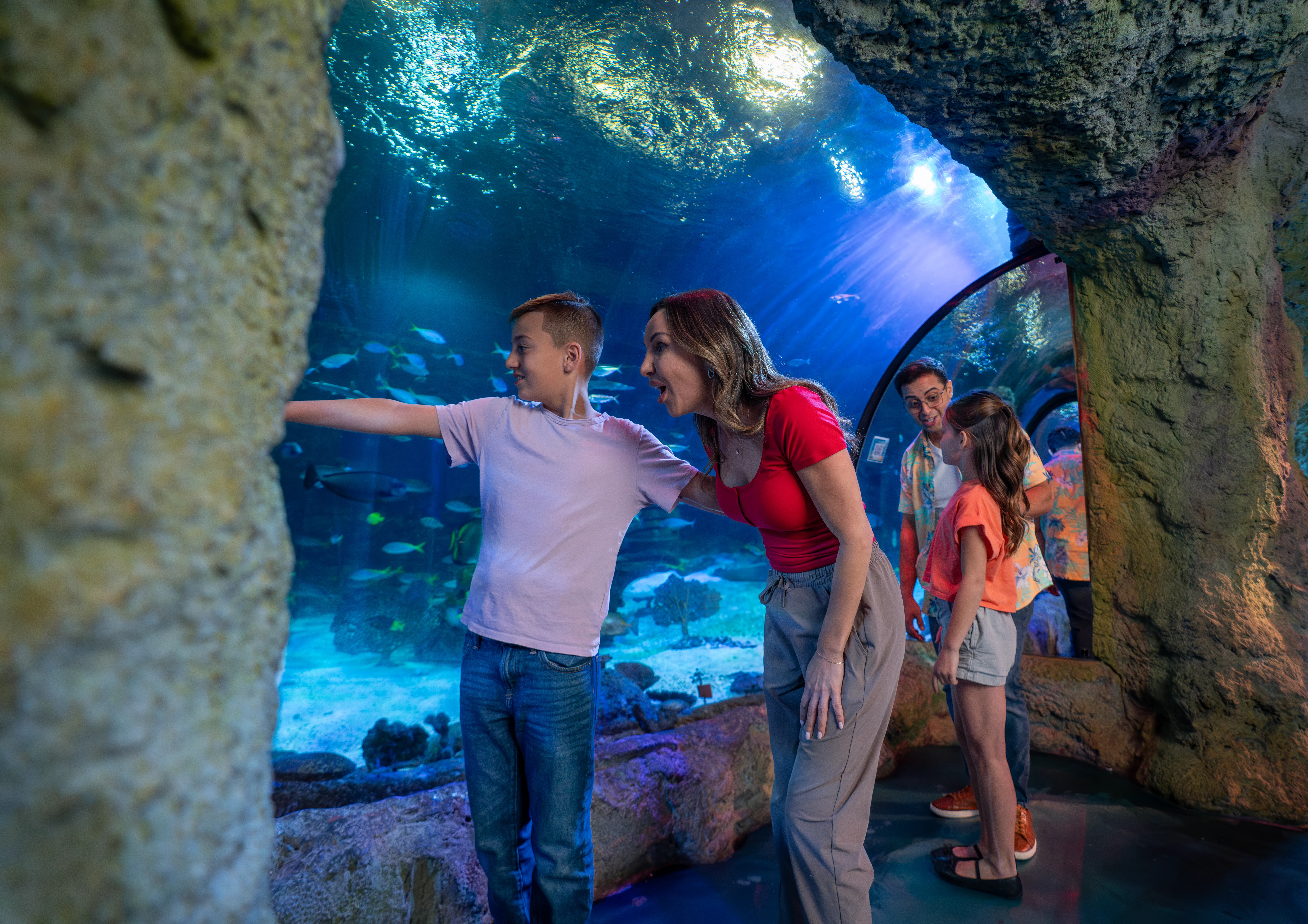 Guests experiencing SEA LIFE Florida and pointing at fish