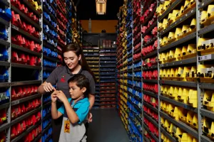 Kid at the Model Shop